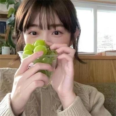 卡车司机之歌
